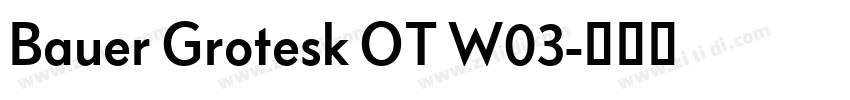 Bauer Grotesk OT W03字体转换